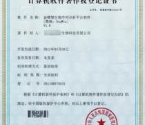 軟件著作權(quán)申請(qǐng)全攻略 自主辦理與專(zhuān)業(yè)代理詳解